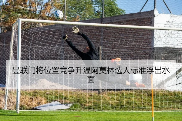 曼联门将位置竞争升温阿莫林选人标准浮出水面